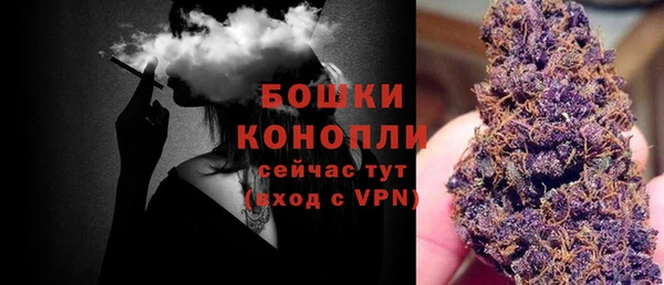 крисы Нягань