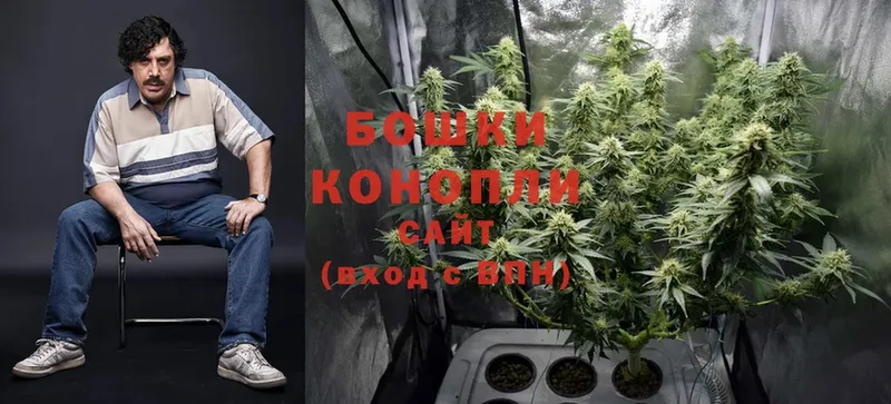 Марихуана Ganja  купить  сайты  Нахабино 